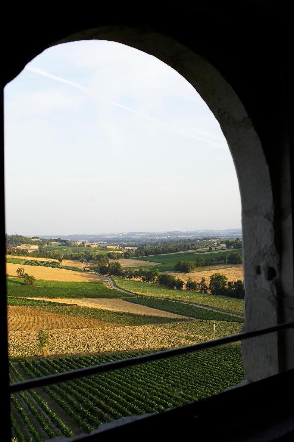 Chateau De Salettes Cahuzac-sur-Vère Exteriér fotografie